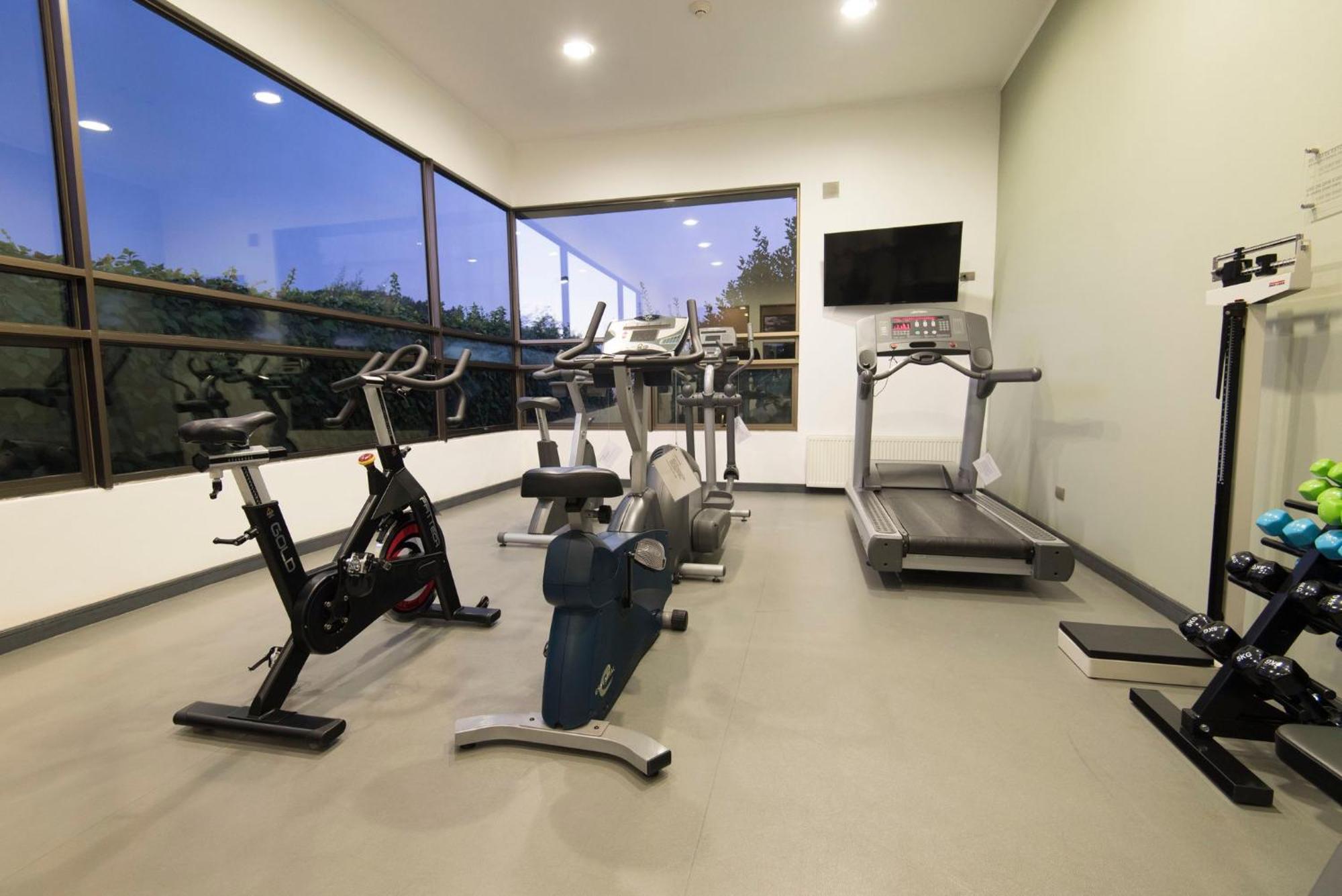 Holiday Inn Express - Temuco By Ihg Buitenkant foto