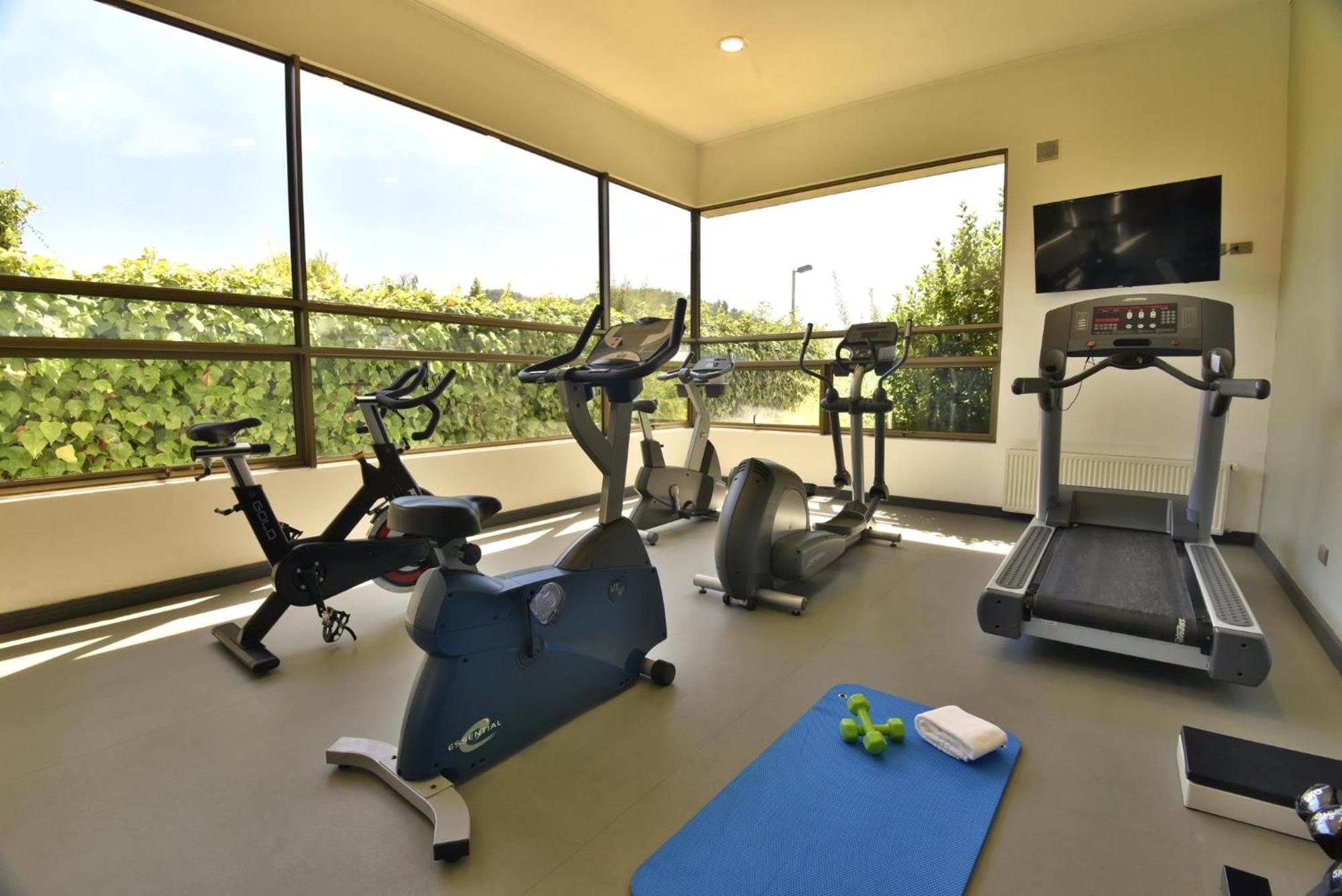 Holiday Inn Express - Temuco By Ihg Buitenkant foto